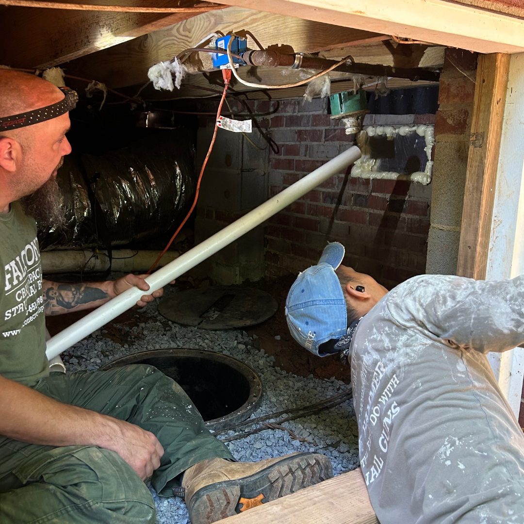 Annual Crawl Space Maintenance Program Faclone