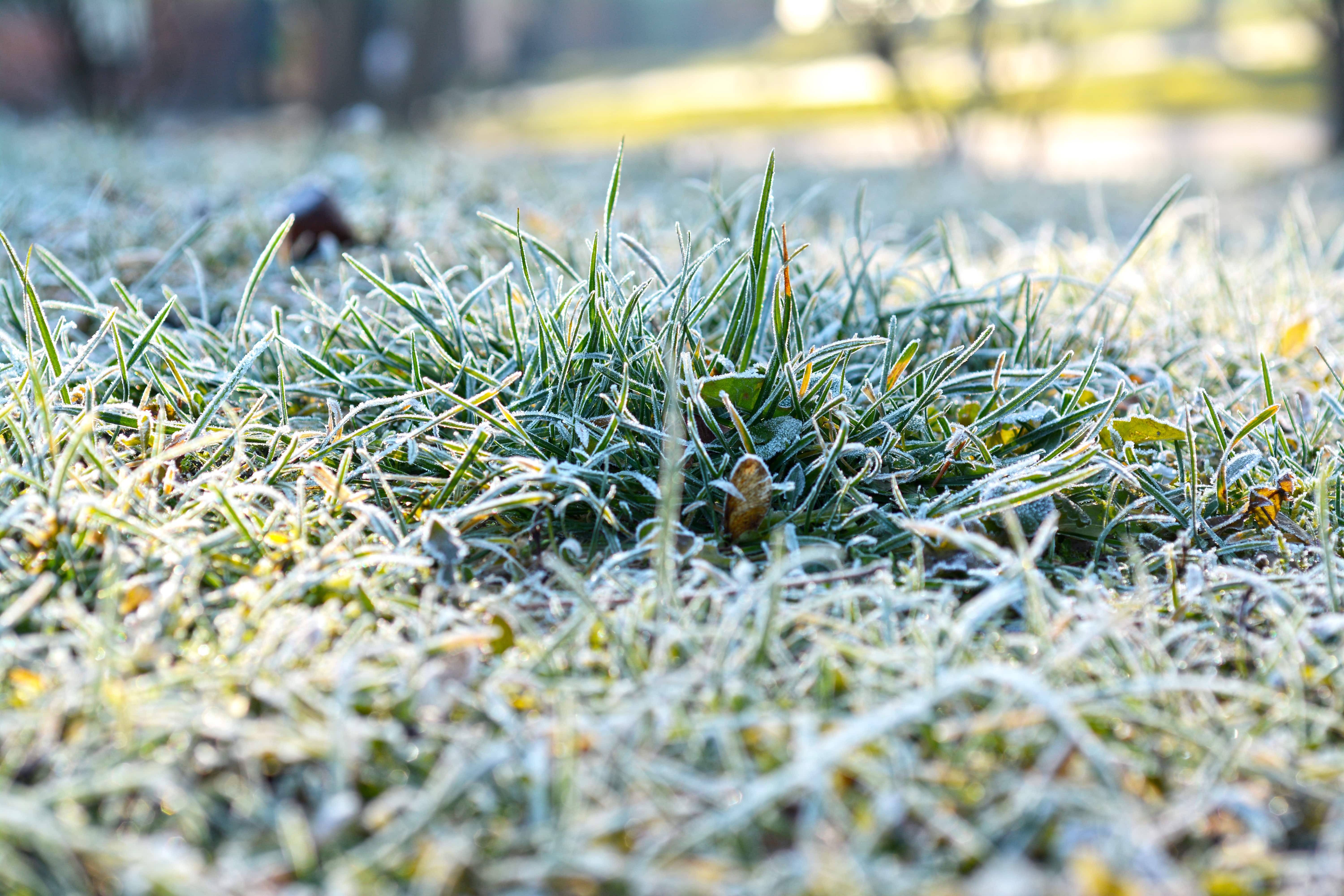 frost heaving is a common cause of water leakage.