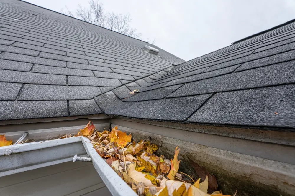 clogged gutters