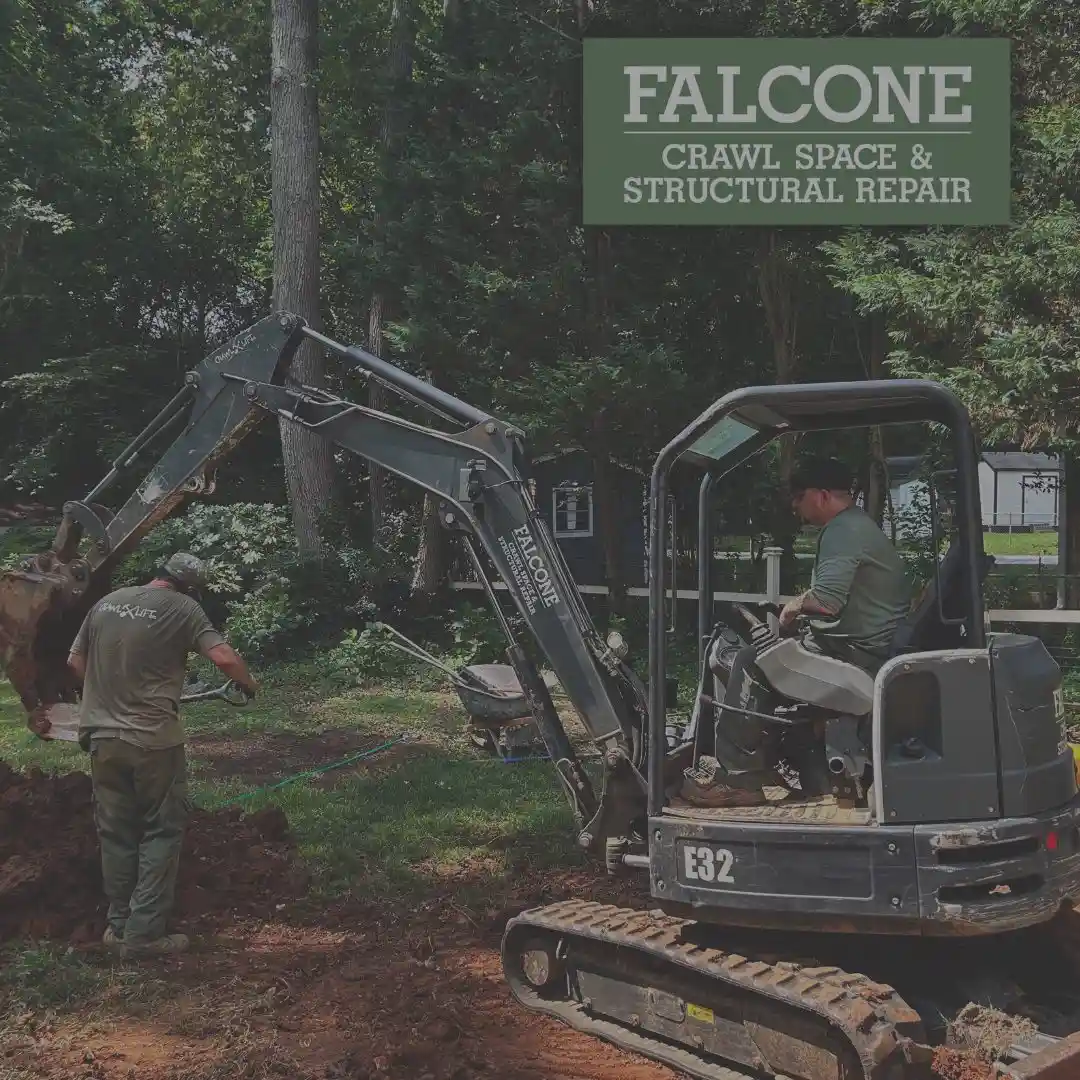 falcone crawl space dark